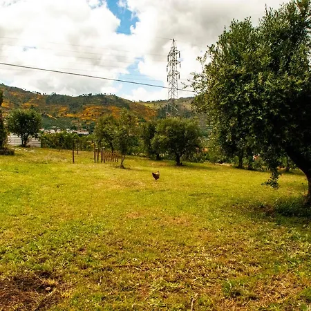 Vakantiehuis Quintinha Vicosa *