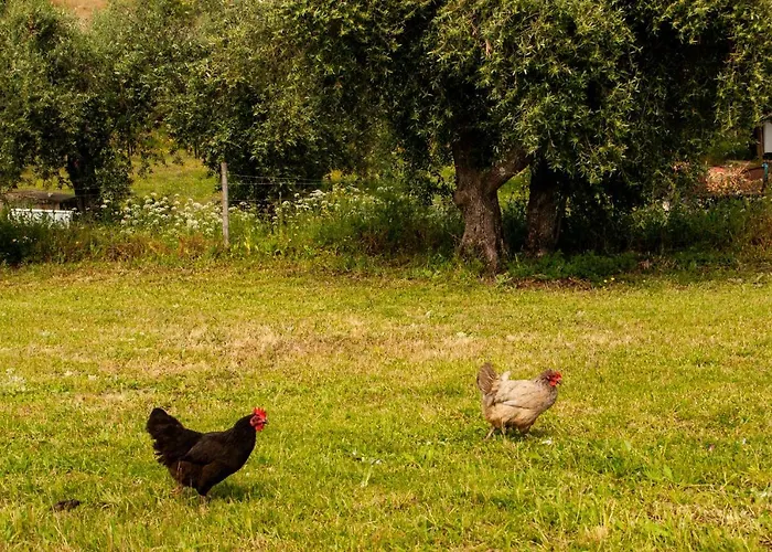 Quintinha Vicosa Holiday home Aldeia Vicosa