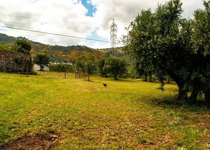 Holiday home Quintinha Vicosa *